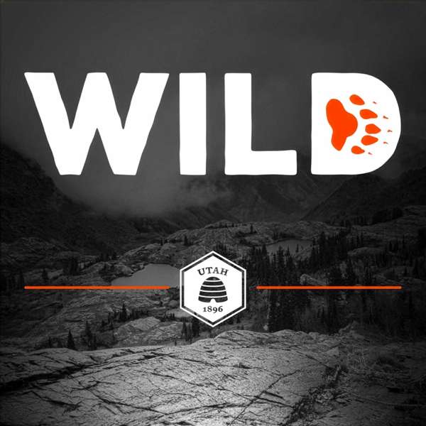 Wild – Utah Division of Wildlife Resources