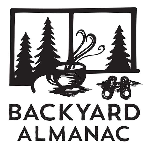 Backyard Almanac – The North 103.3 FM