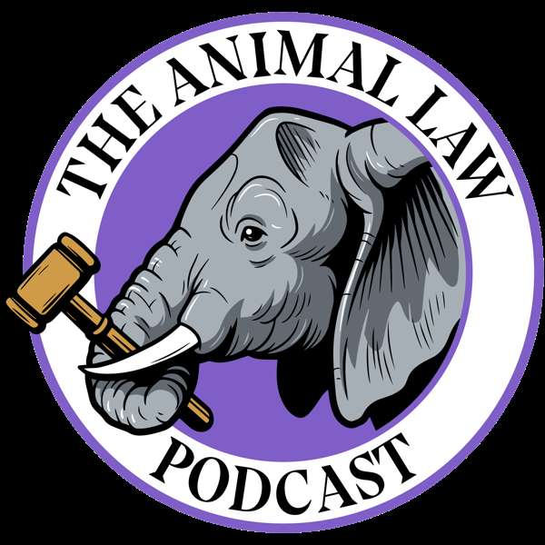 The Animal Law Podcast – Mariann Sullivan, Law Professor, Pundit, Vegan