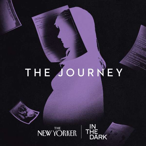 In The Dark – The New Yorker