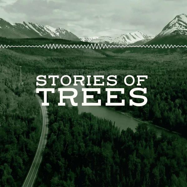 Stories of Trees